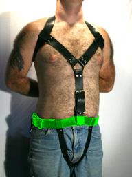 Belt section for posture restraint system