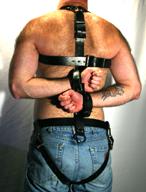 Posture restraint system